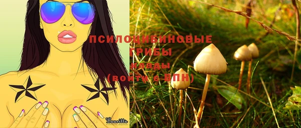 гидропоника Карпинск