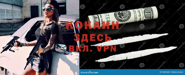 гидропоника Карпинск